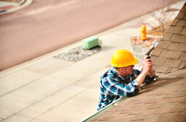 Best Roof Gutter Cleaning  in Dutch Island, GA